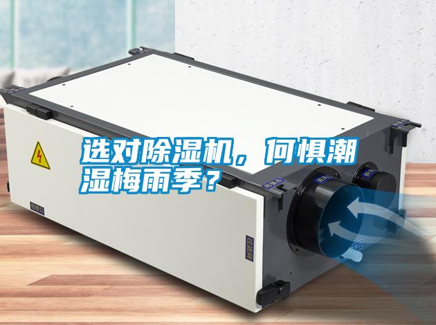 選對除濕機，何懼潮濕梅雨季？