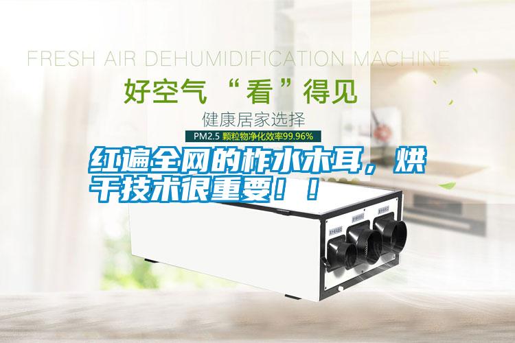 紅遍全網(wǎng)的柞水木耳，烘干技術(shù)很重要！！