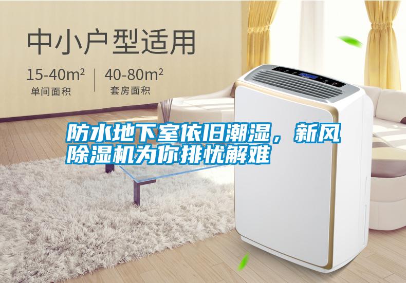 防水地下室依舊潮濕，新風除濕機為你排憂解難