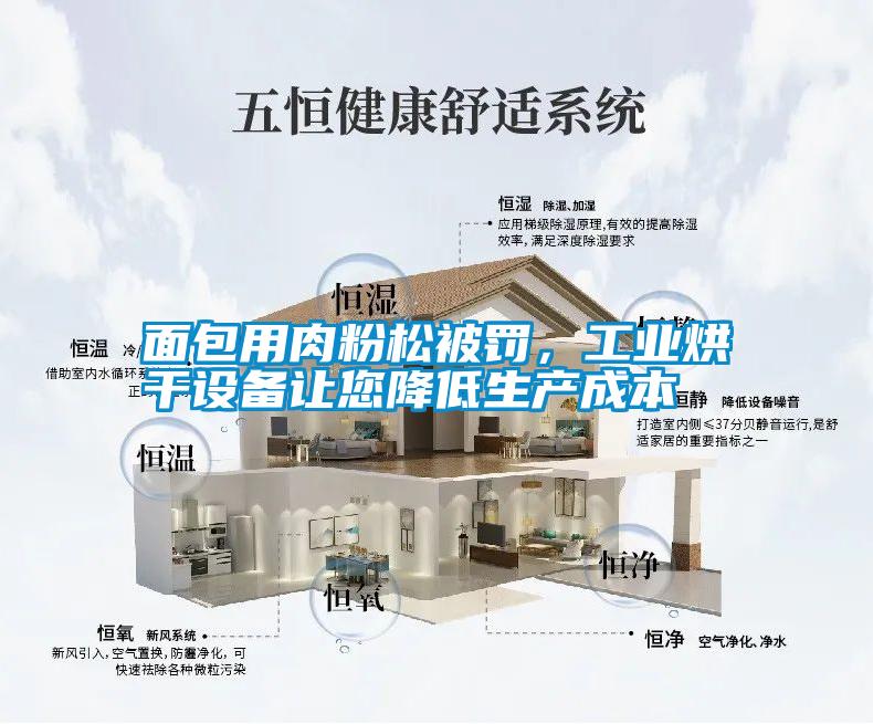 面包用肉粉松被罰，工業(yè)烘干設備讓您降低生產成本