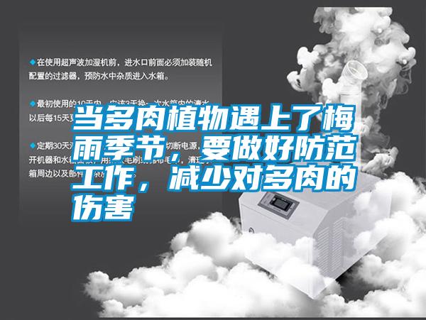 當多肉植物遇上了梅雨季節，要做好防范工作，減少對多肉的傷害