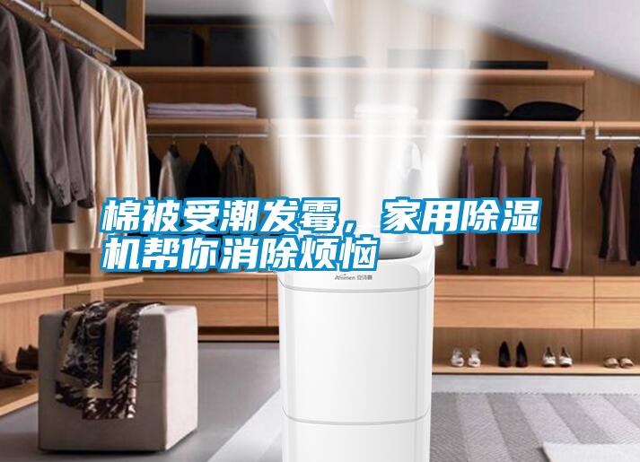 棉被受潮發(fā)霉，家用除濕機幫你消除煩惱