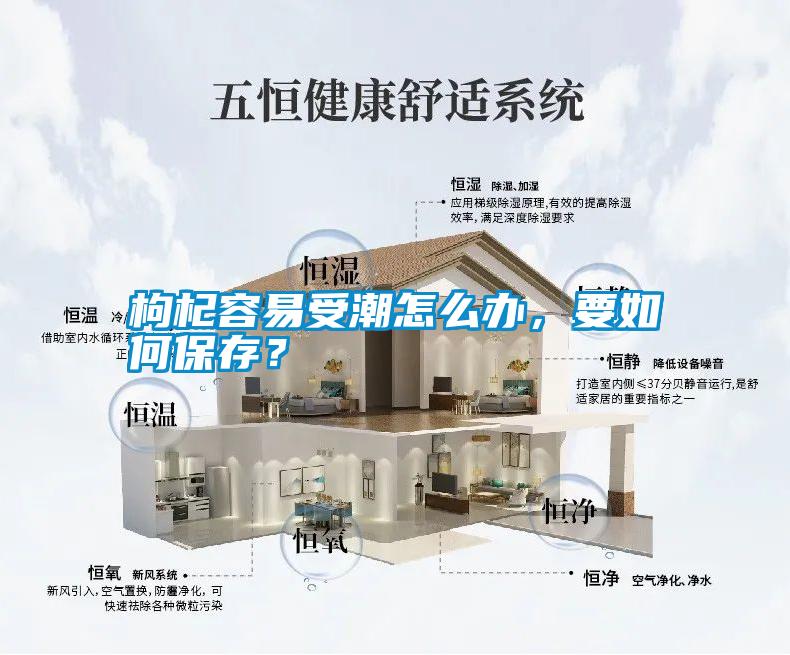 枸杞容易受潮怎么辦，要如何保存？