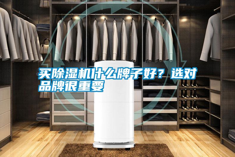 買除濕機什么牌子好？選對品牌很重要