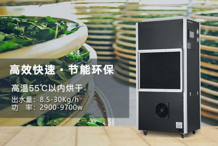 濕氣重的人，是不是更容易出汗？
