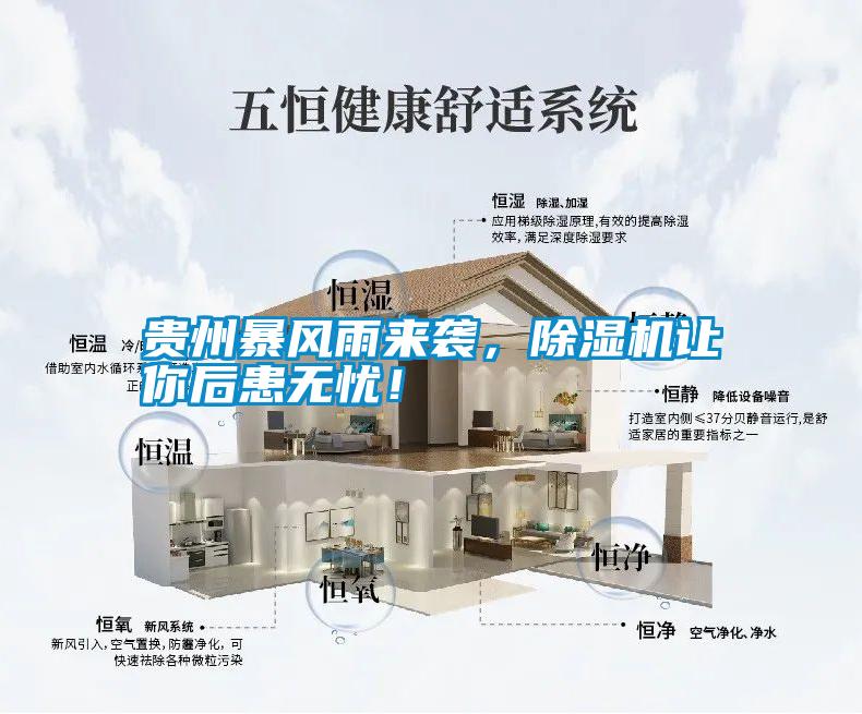 貴州暴風(fēng)雨來襲，除濕機(jī)讓你后患無憂！
