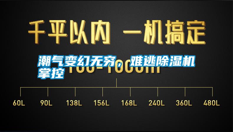 潮氣變幻無窮，難逃除濕機掌控