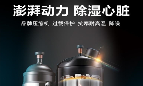 熱點(diǎn)：除濕機(jī)企業(yè)留住潛在客戶，加強(qiáng)網(wǎng)站建設(shè)是根本