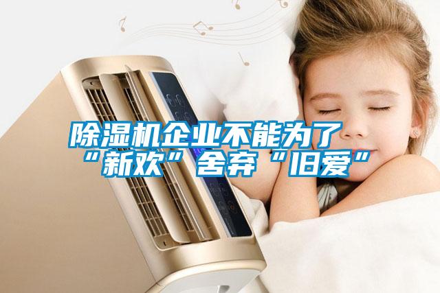 除濕機企業(yè)不能為了“新歡”舍棄“舊愛”
