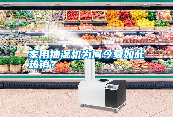 家用抽濕機為何今夏如此熱銷？