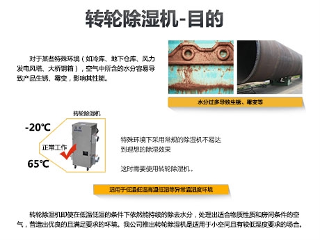 貓糧防潮秘籍，貓糧如何儲存