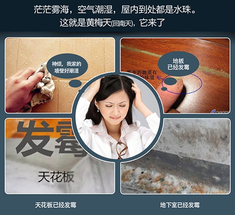 潮濕危害竟然這么大！