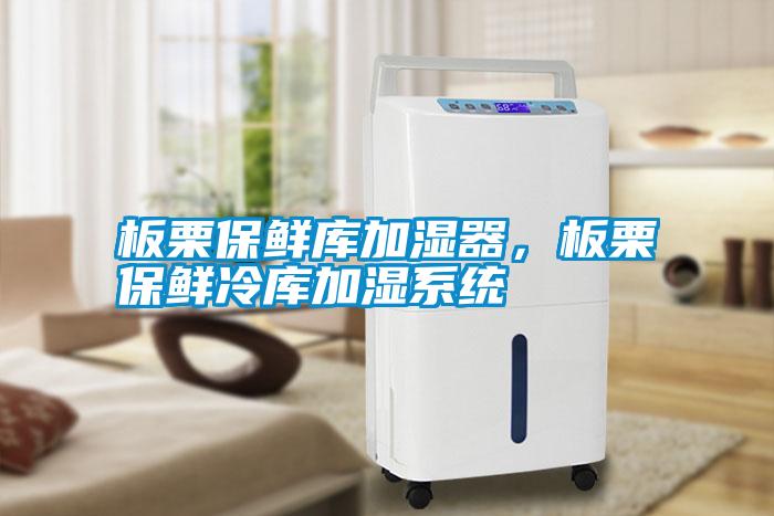 板栗保鮮庫加濕器，板栗保鮮冷庫加濕系統