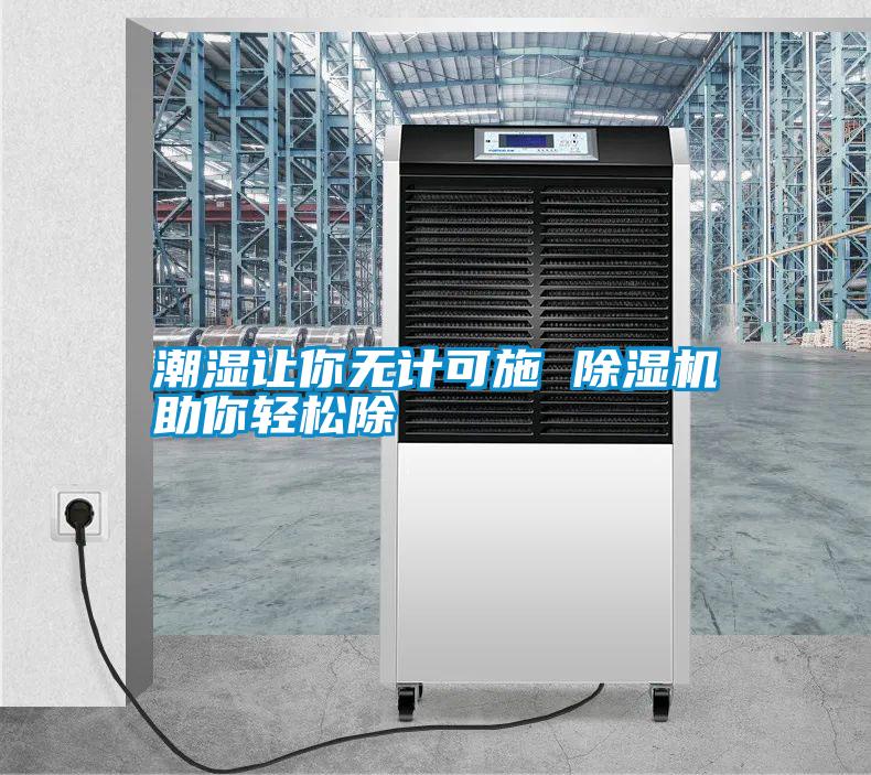 潮濕讓你無計可施 除濕機(jī)助你輕松除