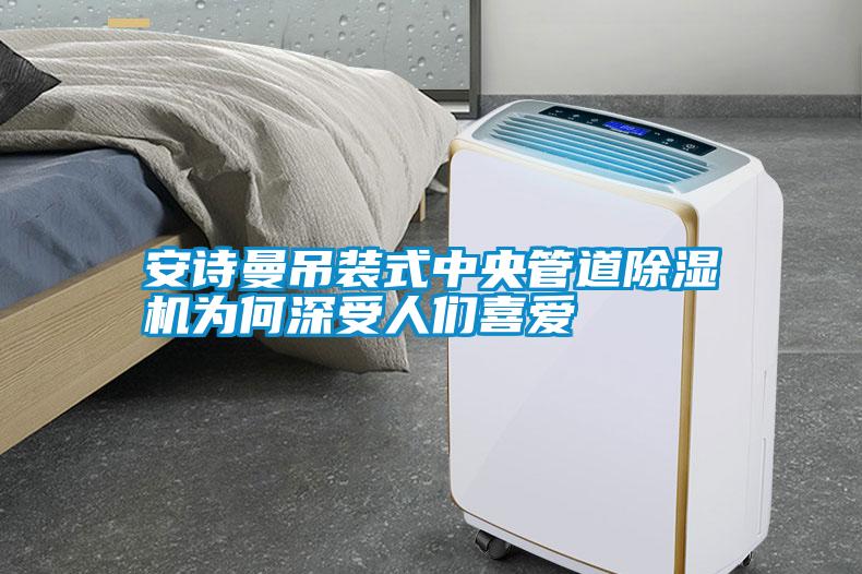 安詩(shī)曼吊裝式中央管道除濕機(jī)為何深受人們喜愛