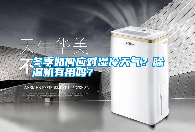冬季如何應對濕冷天氣？除濕機有用嗎？