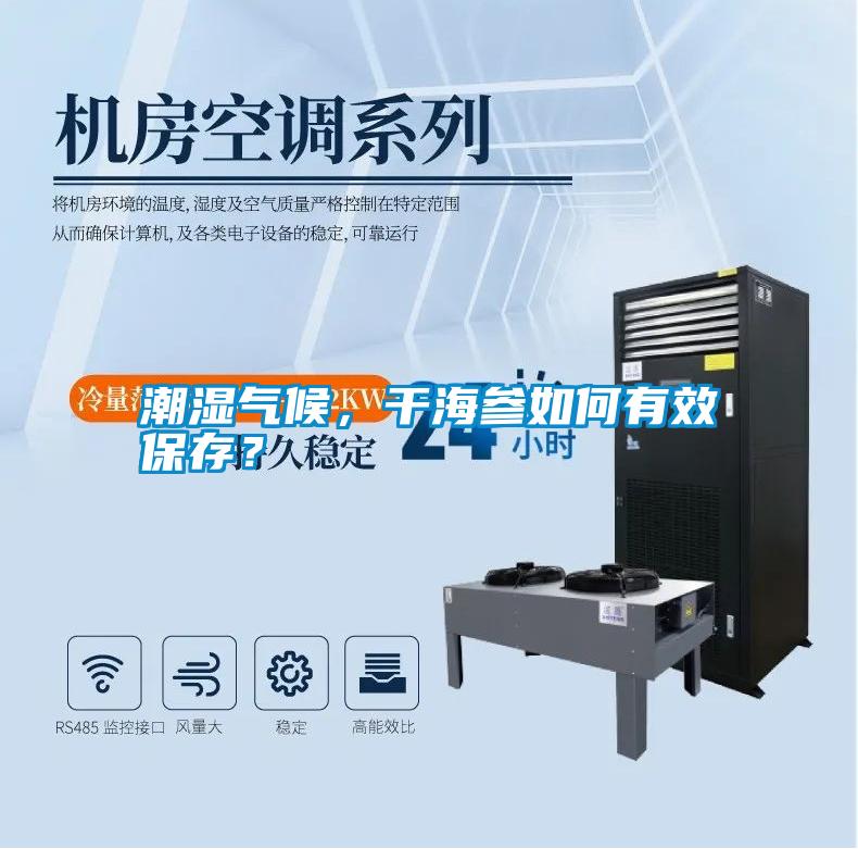 潮濕氣候，干海參如何有效保存？