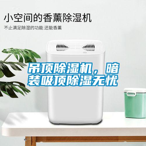 吊頂除濕機，暗裝吸頂除濕無憂