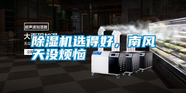 除濕機選得好，南風天沒煩惱