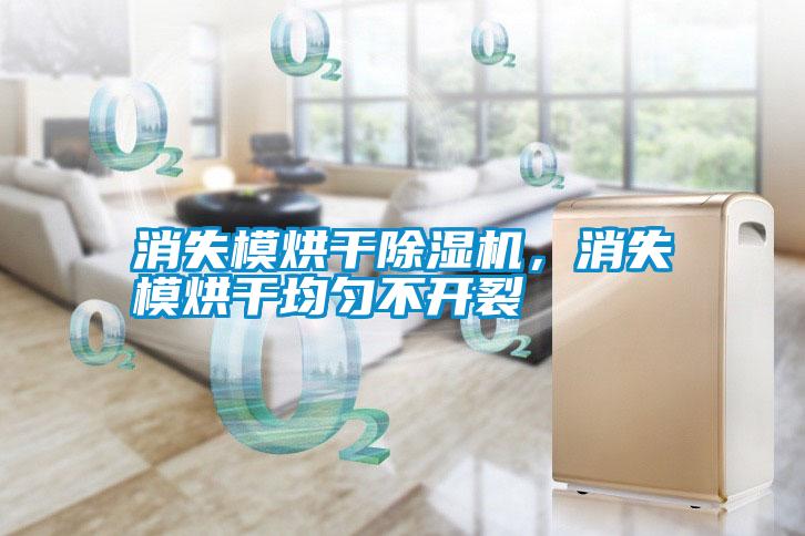 消失模烘干除濕機(jī)，消失模烘干均勻不開(kāi)裂