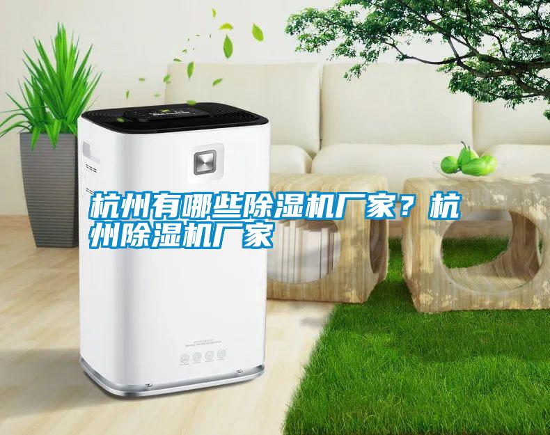 杭州有哪些除濕機廠家？杭州除濕機廠家
