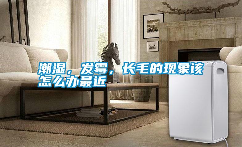 潮濕，發(fā)霉，長毛的現(xiàn)象該怎么辦最近