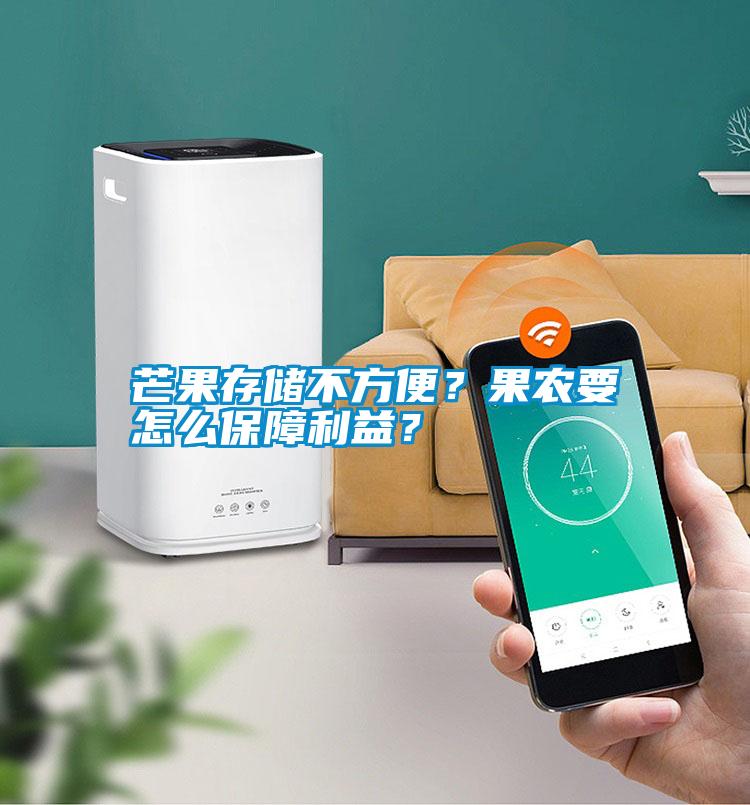 芒果存儲不方便？果農要怎么保障利益？