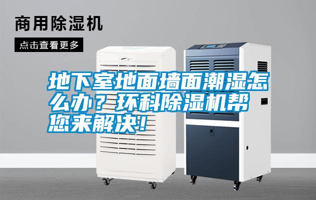 地下室地面墻面潮濕怎么辦？環(huán)科除濕機幫您來解決！
