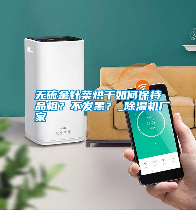 無硫金針菜烘干如何保持品相？不發(fā)黑？_除濕機廠家