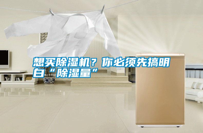 想買(mǎi)除濕機(jī)？你必須先搞明白“除濕量”