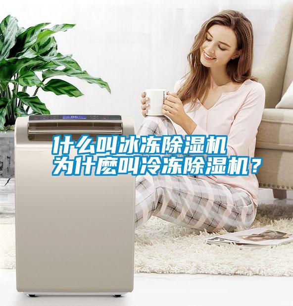 什么叫冰凍除濕機(jī) 為什麼叫冷凍除濕機(jī)？