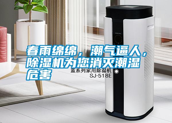 春雨綿綿，潮氣逼人，除濕機為您消滅潮濕危害