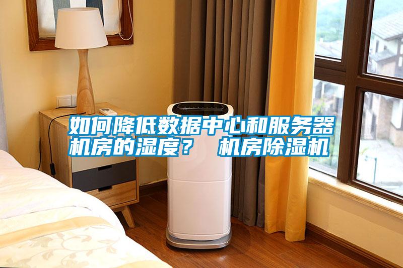 如何降低數(shù)據(jù)中心和服務(wù)器機(jī)房的濕度？ 機(jī)房除濕機(jī)