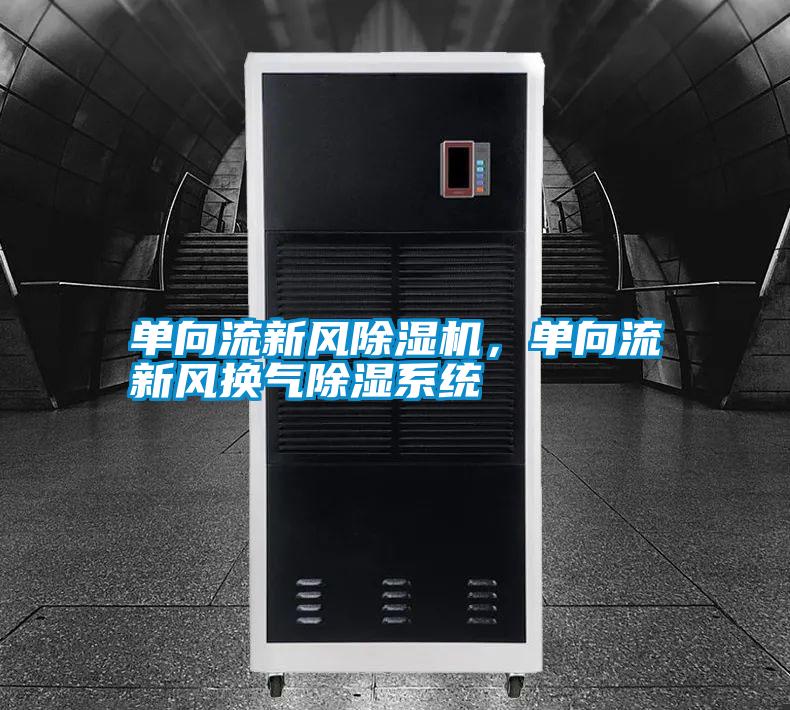 單向流新風除濕機，單向流新風換氣除濕系統
