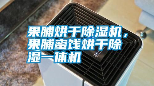 果脯烘干除濕機，果脯蜜餞烘干除濕一體機