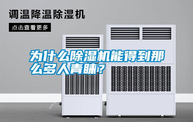 為什么除濕機能得到那么多人青睞？