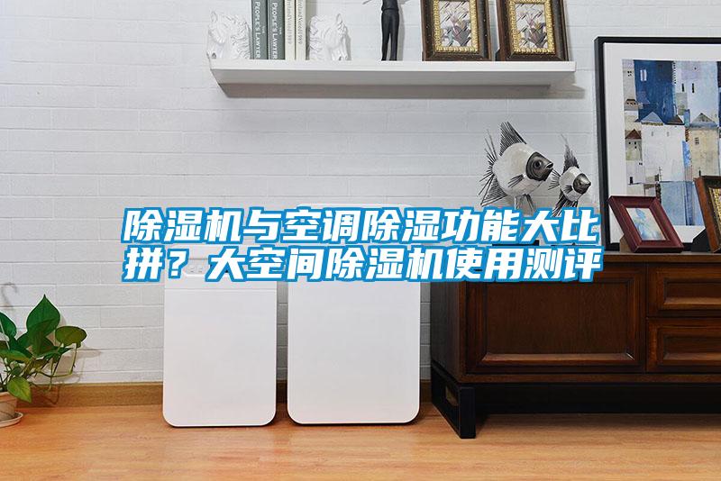 除濕機與空調除濕功能大比拼？大空間除濕機使用測評