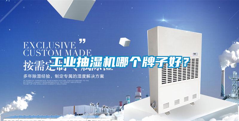 工業(yè)抽濕機(jī)哪個(gè)牌子好？