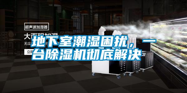 地下室潮濕困擾，一臺除濕機徹底解決