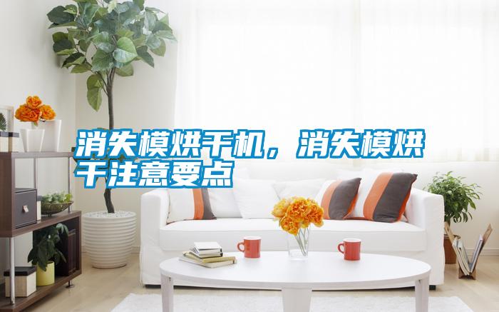 消失模烘干機(jī)，消失模烘干注意要點