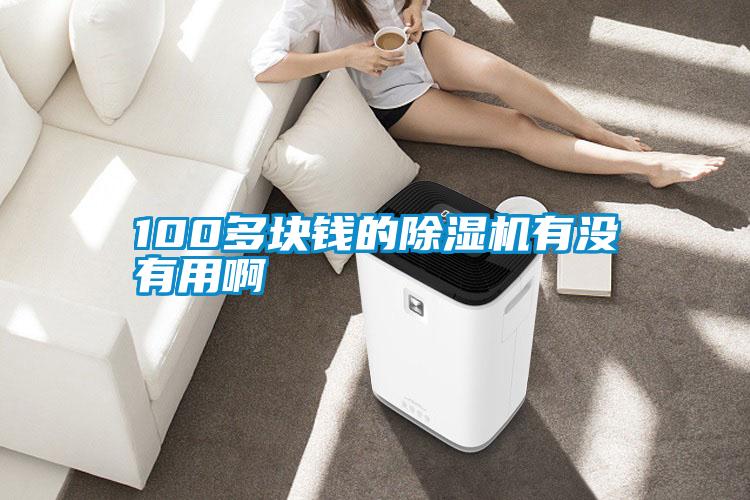 100多塊錢(qián)的除濕機(jī)有沒(méi)有用啊