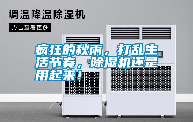 瘋狂的秋雨，打亂生活節奏，除濕機還是用起來！