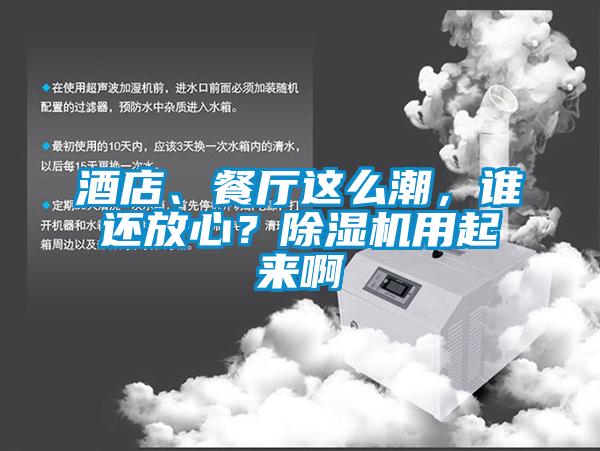 酒店、餐廳這么潮，誰還放心？除濕機用起來啊