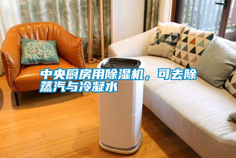 中央廚房用除濕機，可去除蒸汽與冷凝水