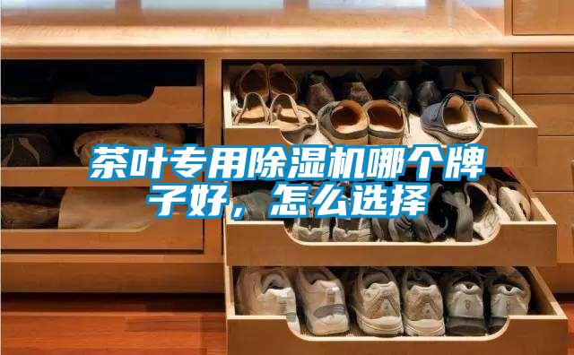 茶葉專用除濕機(jī)哪個(gè)牌子好，怎么選擇