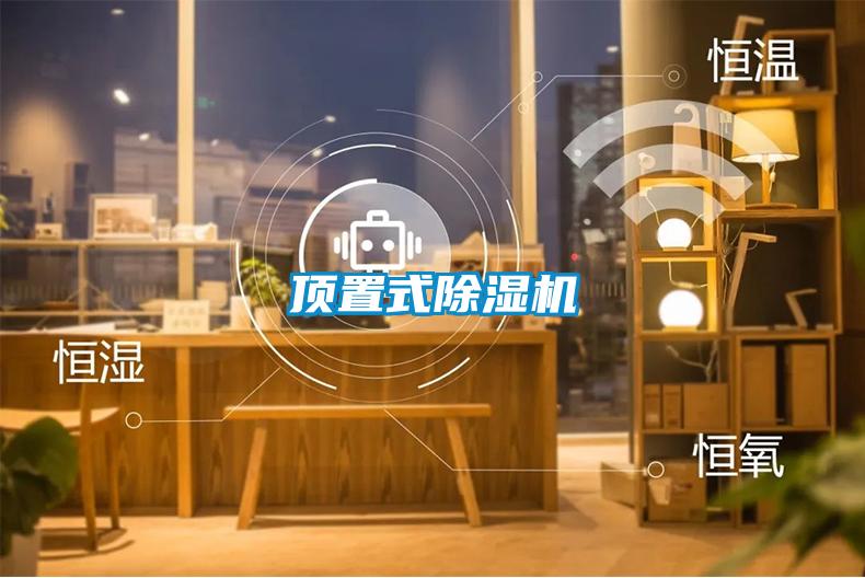 頂置式除濕機(jī)