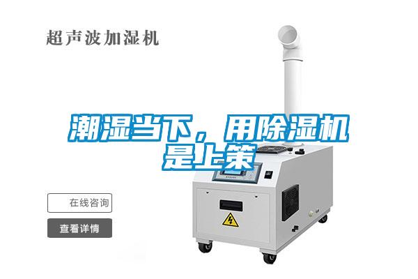 潮濕當下，用除濕機是上策