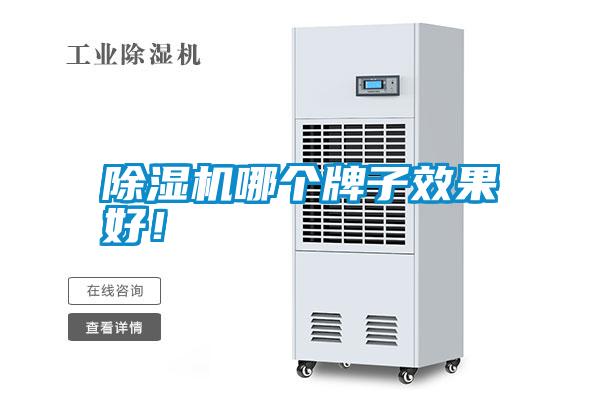 除濕機(jī)哪個牌子效果好！