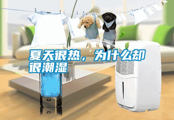 夏天很熱，為什么卻很潮濕