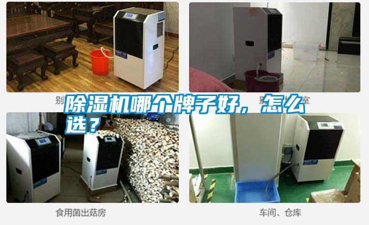 除濕機(jī)哪個(gè)牌子好，怎么選？
